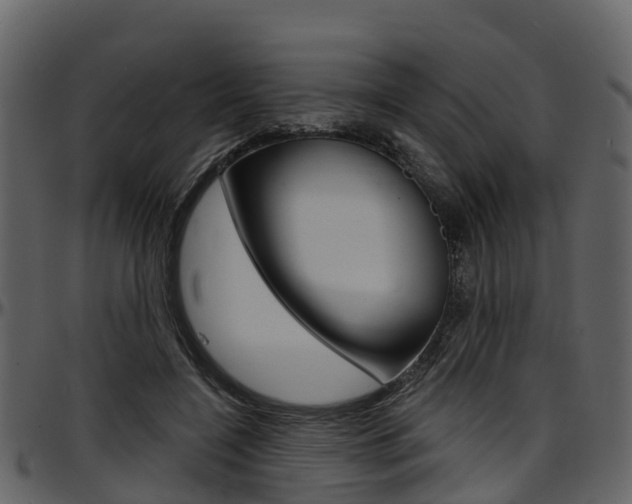 X0000097650548200802290849