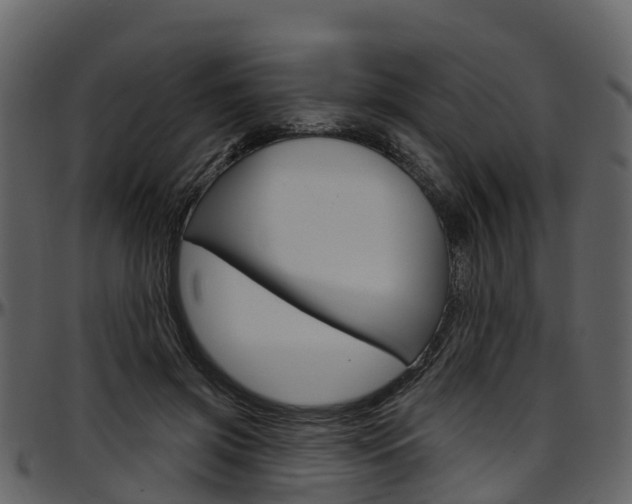 X0000097650549200802290849