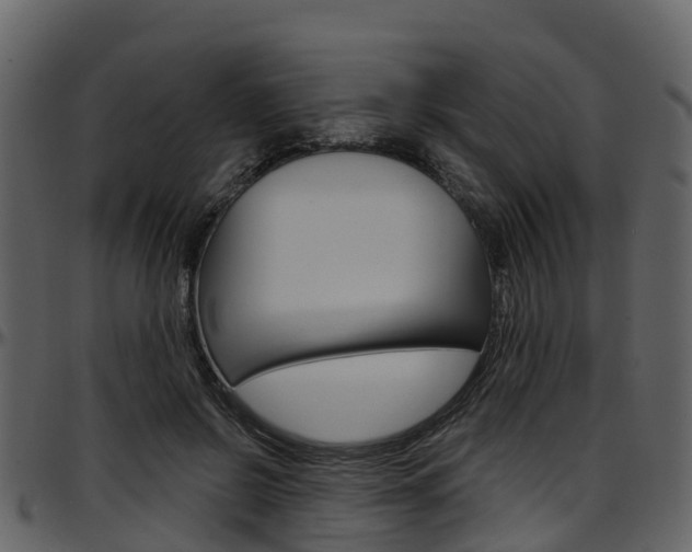 X0000097650550200802290849