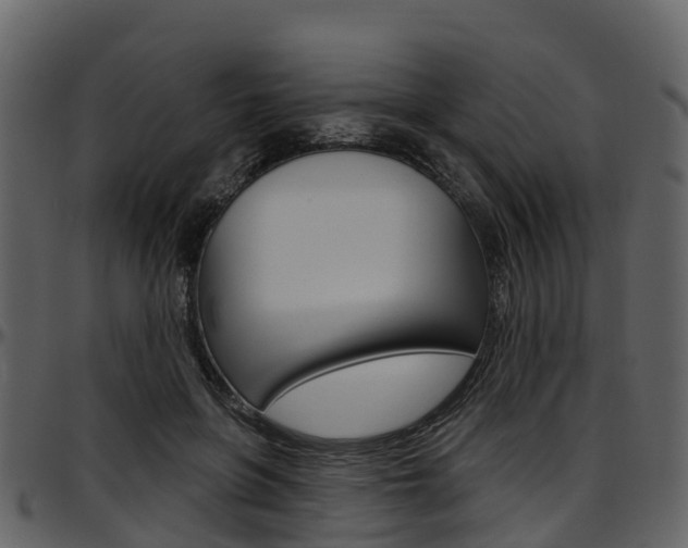 X0000097650551200802290849
