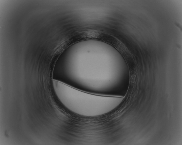 X0000097650552200802290849
