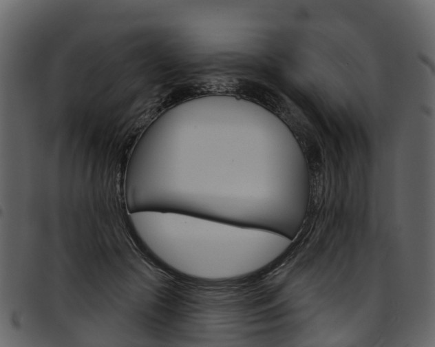 X0000097650553200802290849