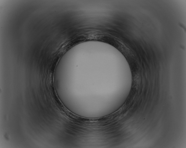 X0000097650554200802290849