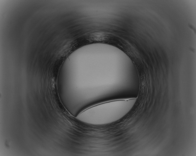 X0000097650555200802290849