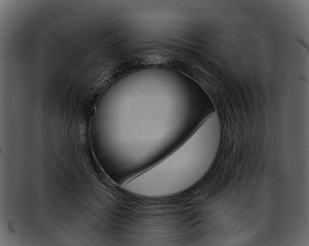 X0000097650556200802290849