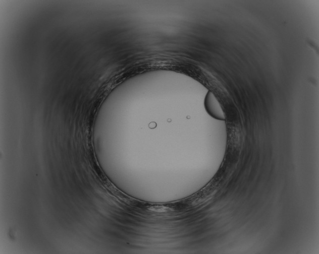 X0000097650557200802290849