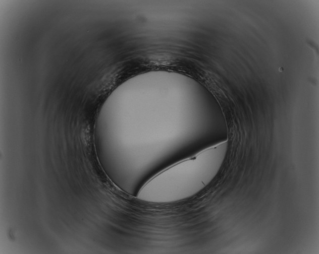 X0000097650559200802290849