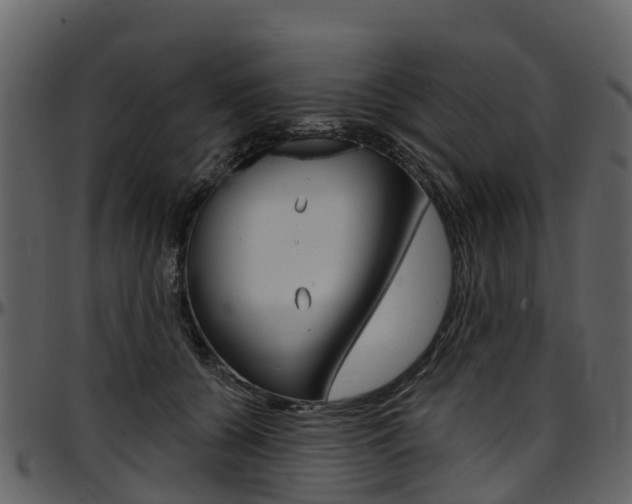 X0000097650560200802290849