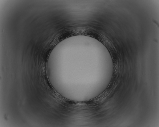 X0000097650561200802290849