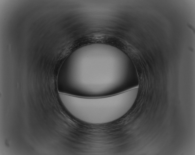 X0000097650562200802290849
