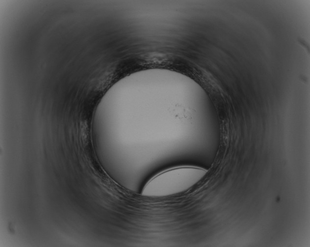 X0000097650563200802290849
