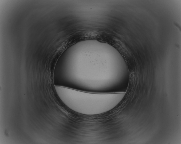 X0000097650564200802290849