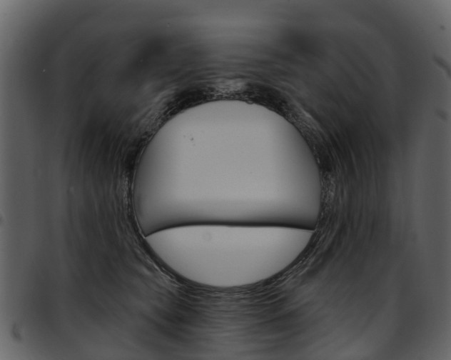 X0000097650565200802290849