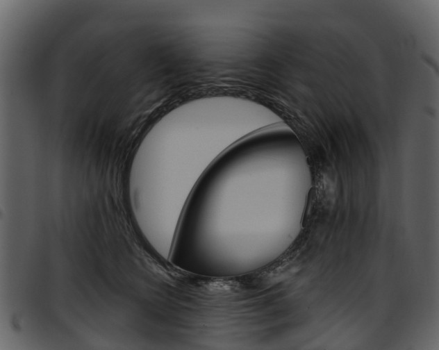 X0000097650566200802290849