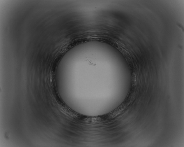 X0000097650567200802290849