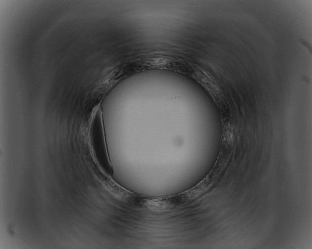 X0000097650568200802290849