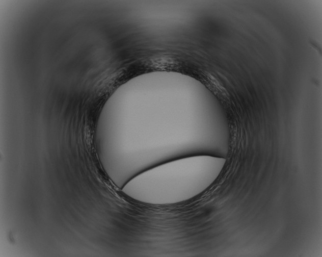 X0000097650569200802290849