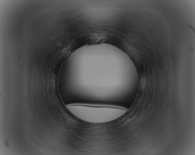 X0000097650570200802290849