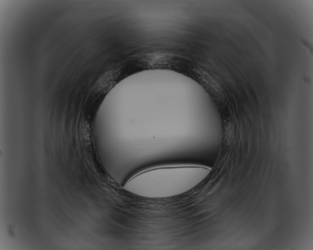 X0000097650571200802290849