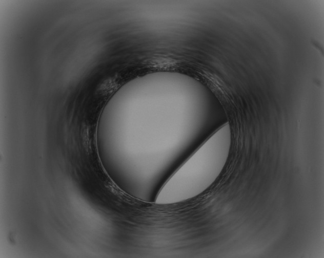 X0000097650572200802290849