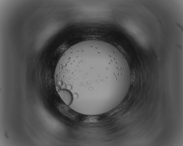 X0000097650573200802290849