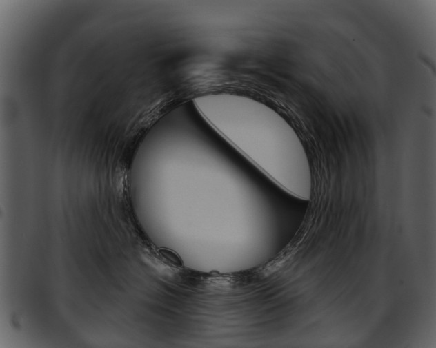 X0000097650574200802290849
