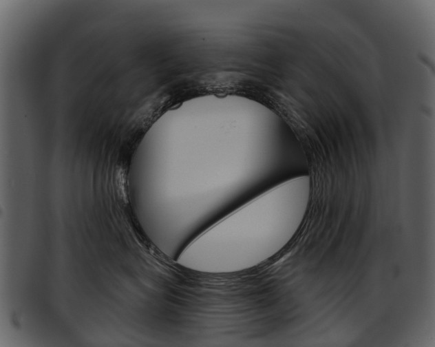 X0000097650575200802290849