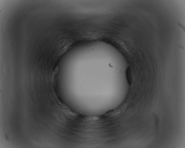 X0000097650576200802290849