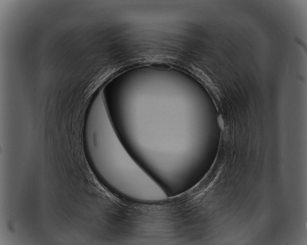X0000097650577200802290848