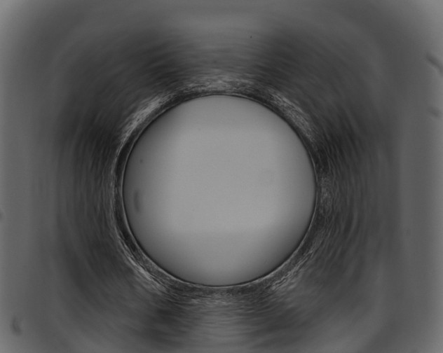 X0000097650578200802290848