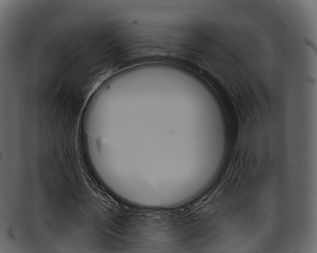 X0000097650579200802290848