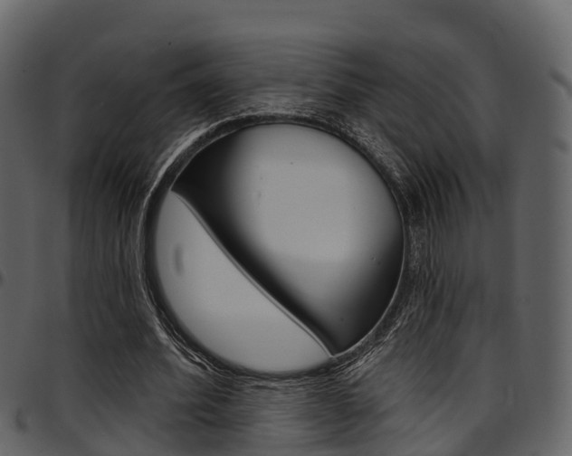 X0000097650580200802290848