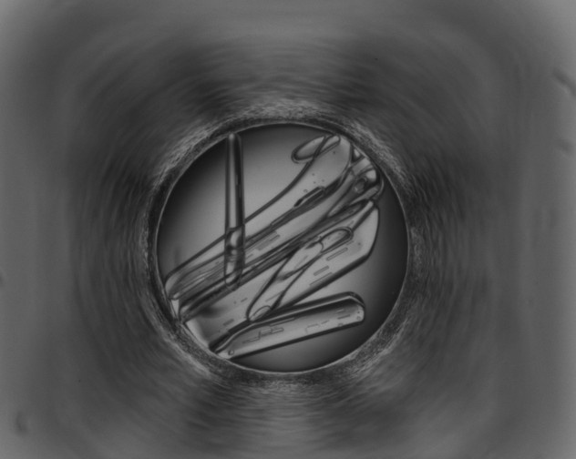 X0000097650581200802290848
