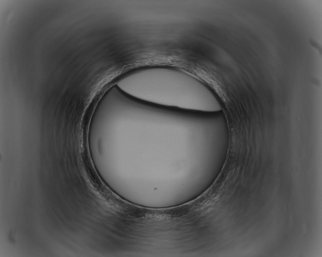 X0000097650582200802290848