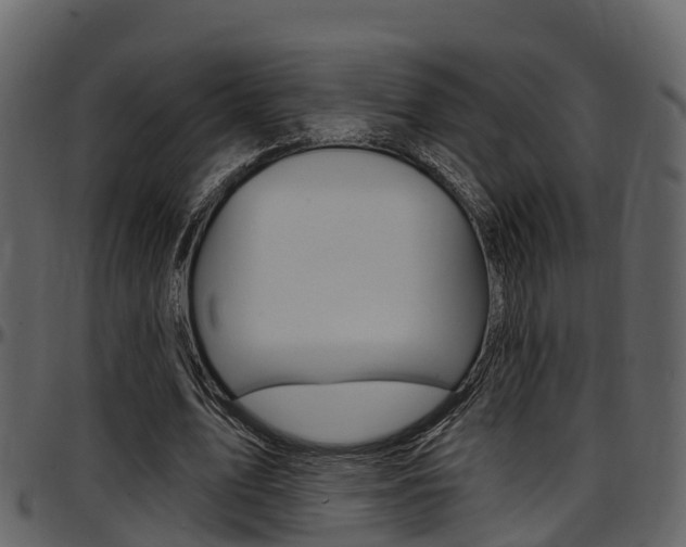 X0000097650583200802290848