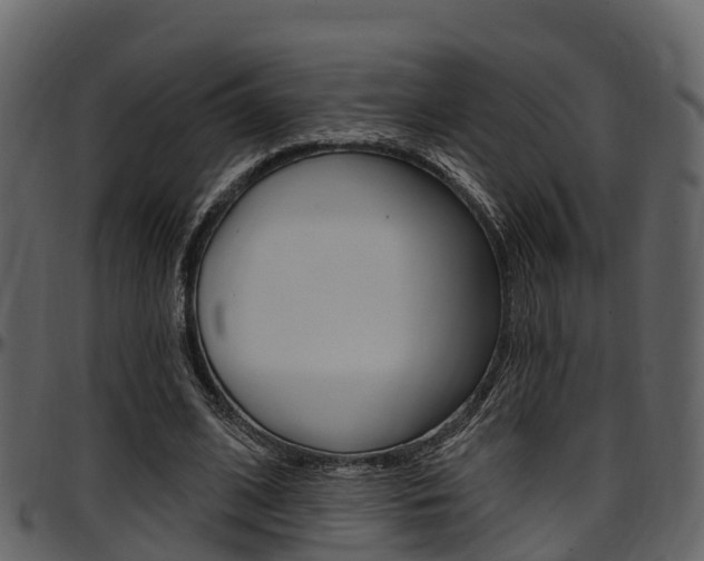 X0000097650584200802290848
