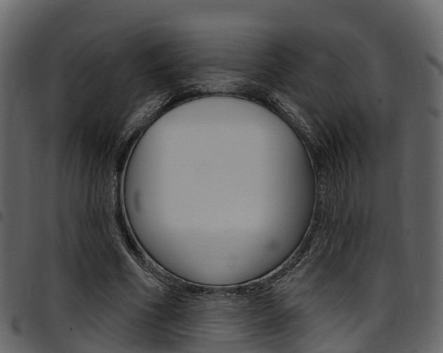 X0000097650586200802290848