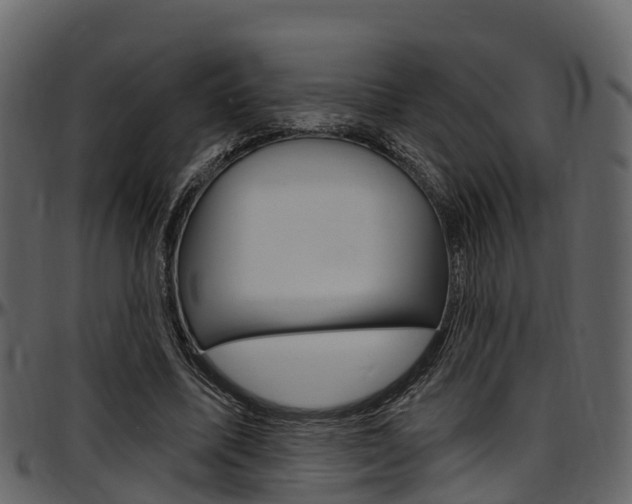 X0000097650587200802290848