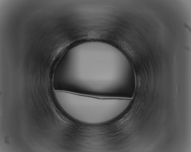 X0000097650588200802290848