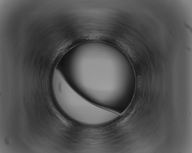X0000097650589200802290848