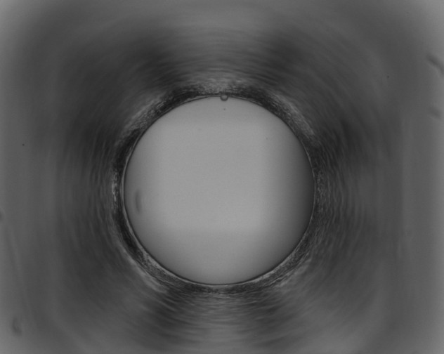 X0000097650590200802290848