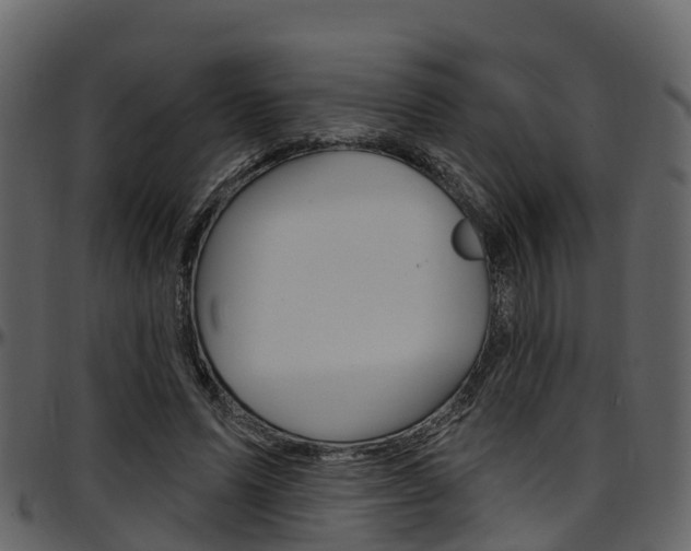 X0000097650591200802290848