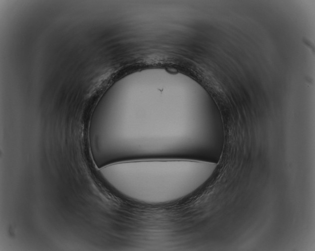 X0000097650592200802290848