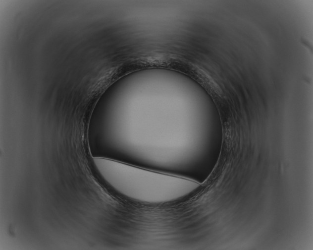 X0000097650593200802290848