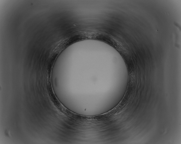 X0000097650594200802290848