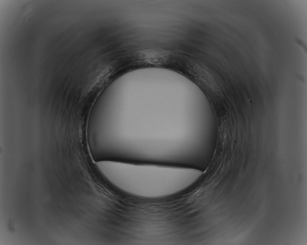 X0000097650595200802290848