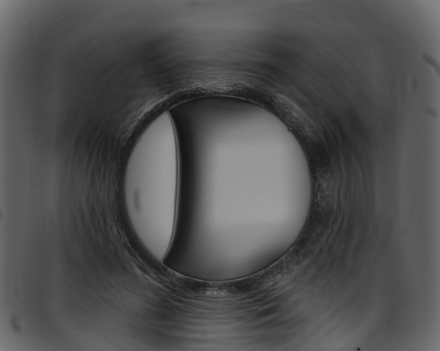 X0000097650596200802290848