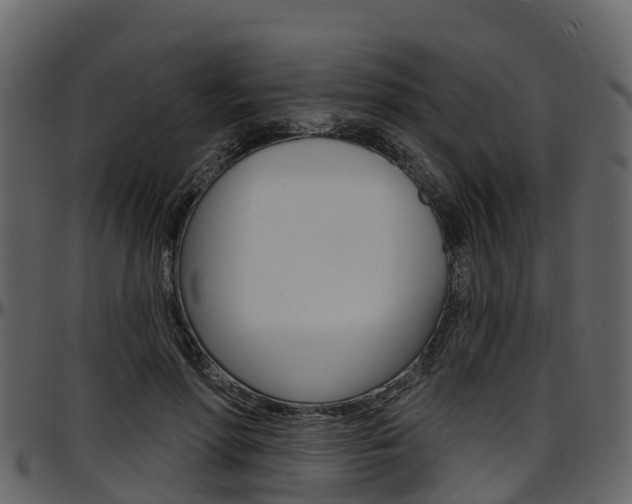 X0000097650598200802290848