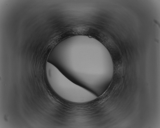 X0000097650599200802290848