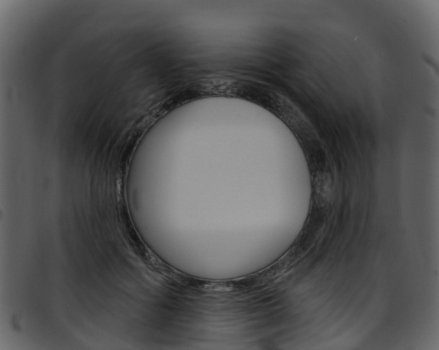 X0000097650602200802290848